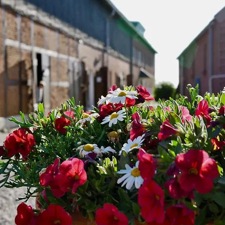 Knusthof Lafrenz - Goldblick Apartman